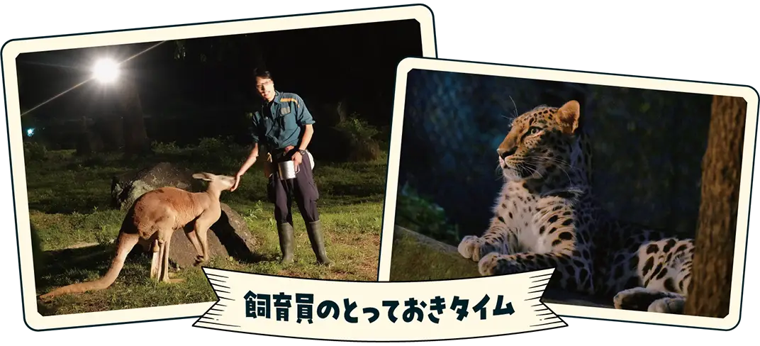 飼育員のとっておきタイム